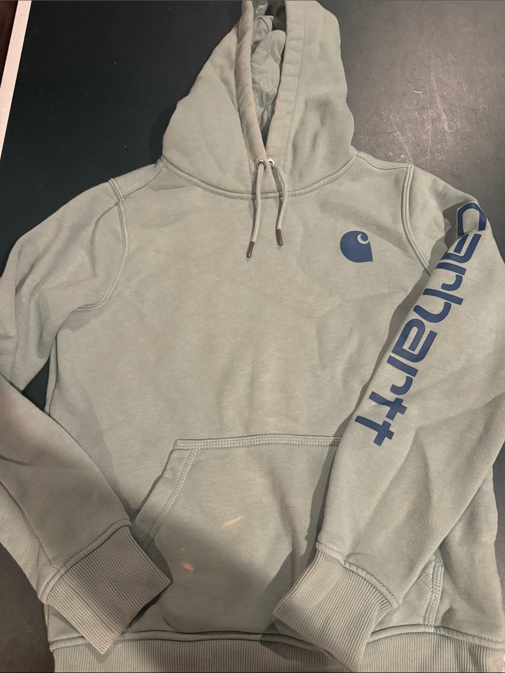 Carhartt Hooded Sweatshirt - Sage Green with Blue Logo
